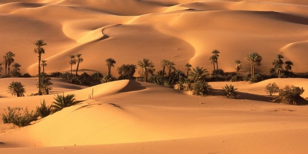 Desierto Desierto